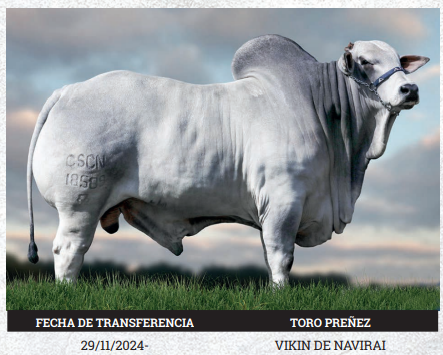 Lote LOTE 4 - PREÑECES
