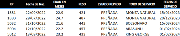 Lote LOTE 38