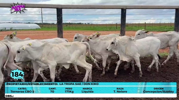 Lote LOTE 184