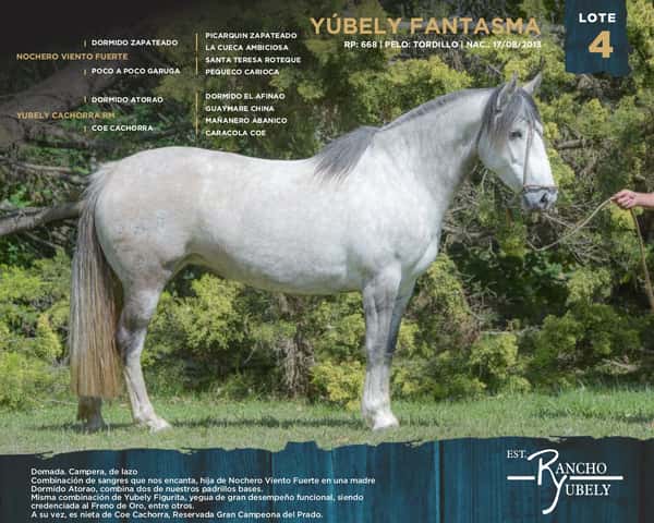 Lote Yubely Fantasma