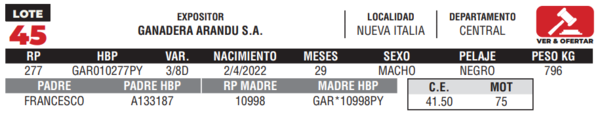 Lote LOTE 45- CAMPO