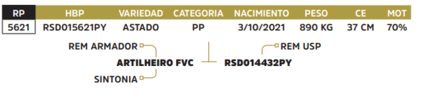 Lote LOTE 37