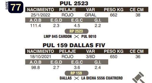 Lote LOTE 77