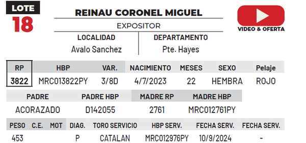 Lote LOTE 18