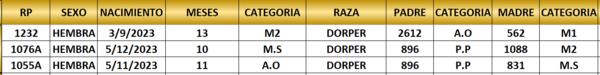 Lote LOTE 46