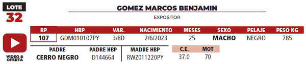 Lote LOTE 32