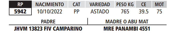 Lote LOTE 33