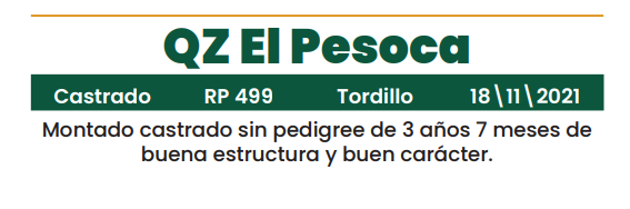 Lote LOTE 12