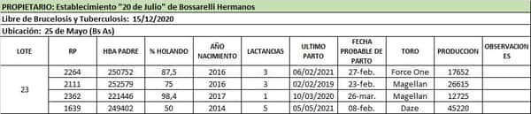 Lote Lote 23