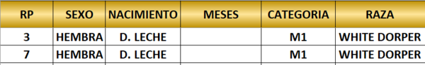 Lote LOTE 5