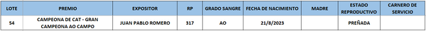 Lote LOTE 54