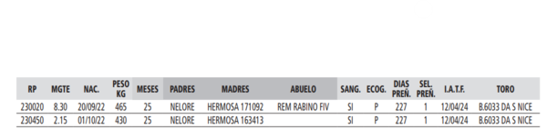 Lote LOTE 36