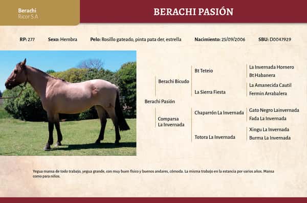 Lote Berachi Pasión (RP 277) - Cabaña "Berachi"