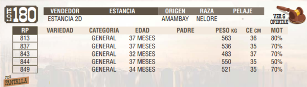 Lote LOTE 180