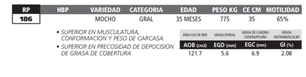 Lote LOTE 57