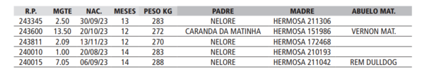 Lote LOTE 50