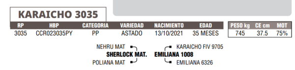 Lote LOTE 1