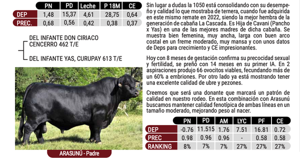 Lote "CABAÑA EL TRIUNFO" - DEL VALDIVIA 1050 CAVANI
