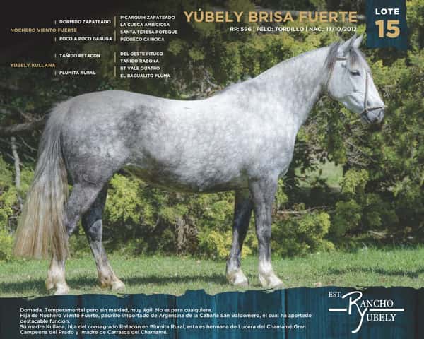 Lote Yubely Brisa Fuerte