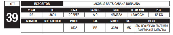 Lote LOTE 39
