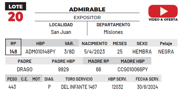 Lote LOTE 20