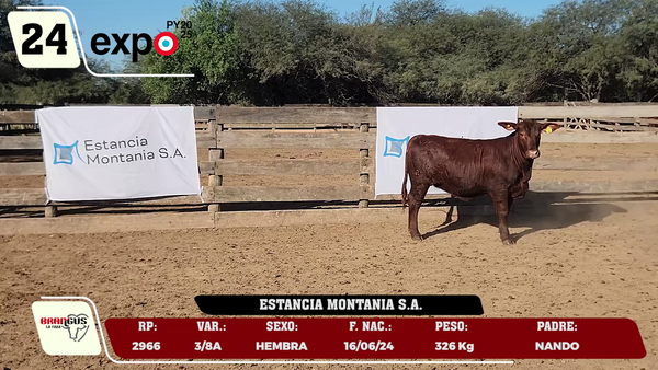 Lote LOTE 24