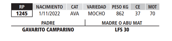 Lote LOTE 48
