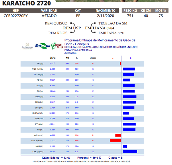 Lote LOTE 27