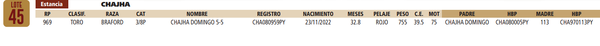 Lote LOTE 45