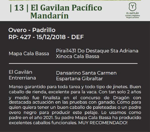 Lote El Gavilan Pacífico Mandarín (RP 427) Cabaña "El Gavilán"