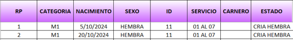 Lote LOTE 13