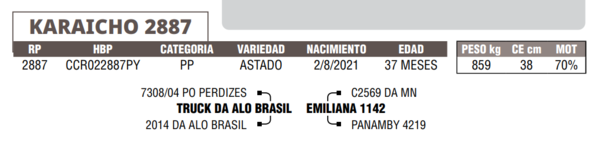 Lote LOTE 46