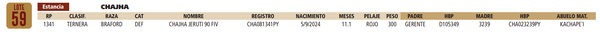 Lote LOTE 59