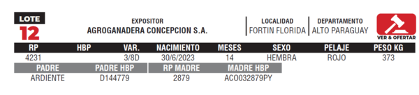 Lote LOTE 12- JUNIOR