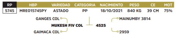 Lote LOTE 16