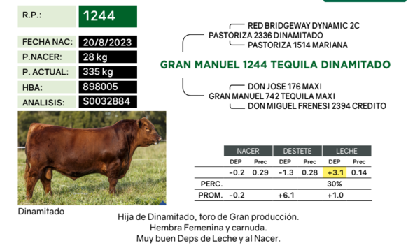 Lote Terneras PP