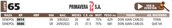 Lote LOTE 65