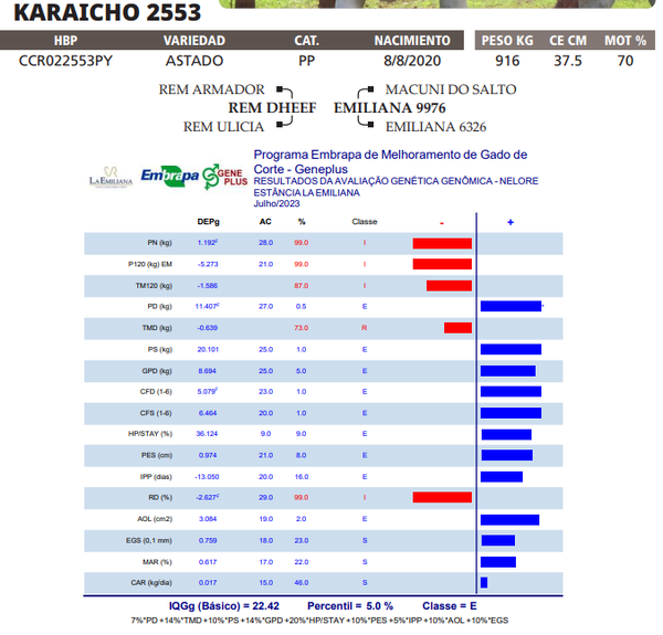 Lote LOTE 23
