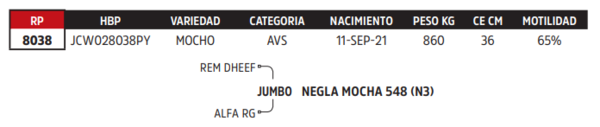 Lote LOTE 22