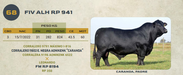 Lote LOTE 68