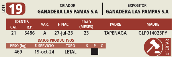 Lote LOTE 19