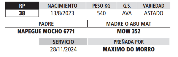 Lote LOTE 18
