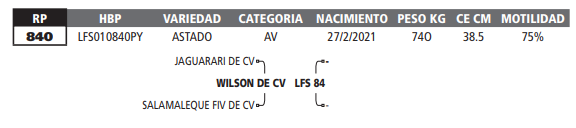 Lote LOTE 51