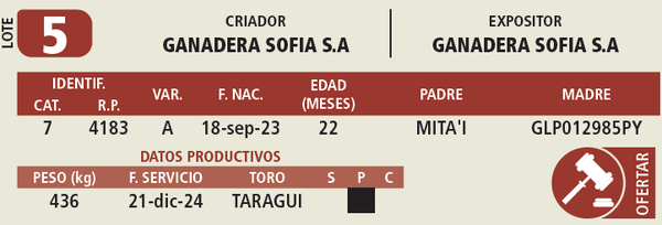Lote LOTE 5