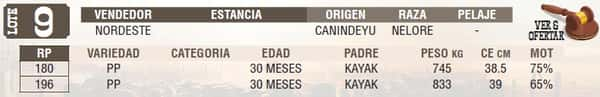 Lote LOTE 9 - EN VIVO