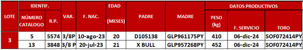 Lote LOTE 3