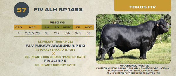 Lote LOTE 57
