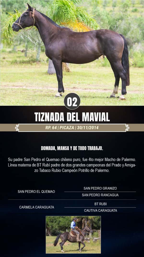 Lote Tiznada del Mavial