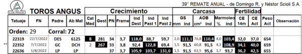 Lote TORO ANGUS
