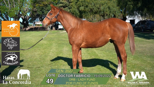 Lote DOCTOR FABRICIO